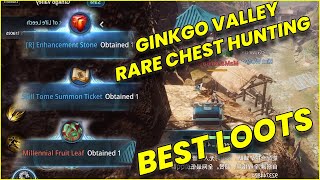 Mir4 Rare Chest Hunting on Gynkgo Valley [upl. by Essirahs]