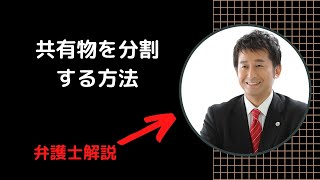 共有物を分割する方法。弁護士解説。 [upl. by Lantz]