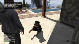 Grand Theft Auto V Franklin Chops iFruit App Tricks [upl. by Wina655]