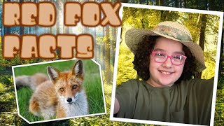 Learn Red Fox Facts For Kids by Kids [upl. by Siuoleoj]