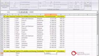 Excel Tutorial Spezialfilter [upl. by Yelda]