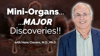 Organoids to Model Human Diseases with Hans Clevers  Sanford Stem Cell Symposium 2023 [upl. by Antonius]