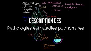 Description des pathologies et maladies pulmonaires [upl. by Yeldoow]