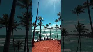 🌊 Discover the Beauty of Mirissa Sri Lanka 🐬 youtubeshorts shortsvideo mirissabeach [upl. by Kellyann]