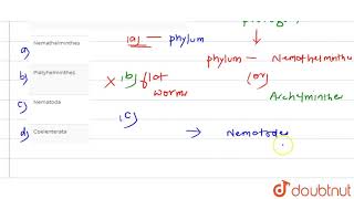 Wuchereria bancrofti belongs to phylum [upl. by Lig]