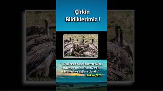 ÇİRKİN BİLDİKLERİMİZ [upl. by Irahc]