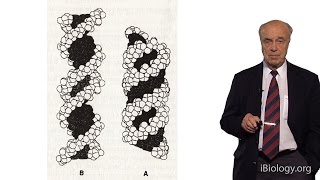 Erling Norrby Author Nobel Prizes and Natures Surprises DNA and the Nobel Prize [upl. by Atiekan]