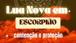 LUA NOVA EM ESCORPIÃO  contenção e proteção [upl. by Esinev915]