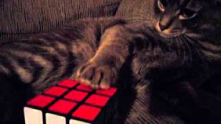 Sound of a Rubiks Cubewmv [upl. by Tat540]