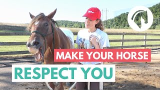 Horse Groundwork for RESPECT Exercises That Work [upl. by Anileuqcaj639]