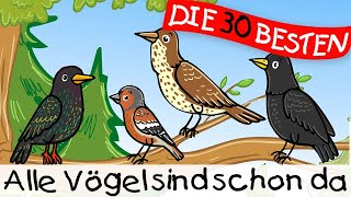 🏞️ Alle Vögel sind schon da  Kinderlieder zum Mitsingen und Bewegen [upl. by Yboc389]