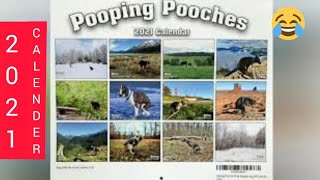 2021 New Year Funny Calendar Ideas  Pooping Pooches  Dog Pooping Calendar for 2021 [upl. by Annawit105]