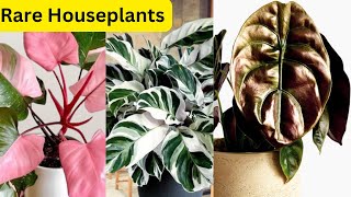 Top 30 Easy Rare Houseplants for Any Collection  The Gardening Pro [upl. by Aslam333]