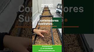 Cultiva de forma rentable y sostenible con nuestros servicios hidropónicos [upl. by Ahcarb]