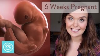 6 Weeks Pregnant What You Need To Know  Channel Mum [upl. by Zedekiah]