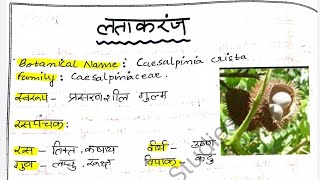 Latakaranja  Caesalpinia Crista  Plant All Details  Dravyaguna Vigyan Plant lecture and Notes [upl. by Juni]