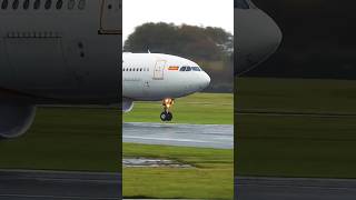 Hainan Airlines A330 takeoff 🛫 shorts hainan airlines a330 airbus aviation [upl. by Aalst]