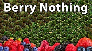 Berry Nothing [upl. by Prissy]