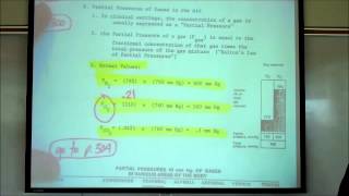 RESPIRATORY PHYSIOLOGY by Professor Fink [upl. by Jarlathus]