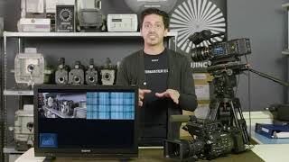 Tech Tips LMD Monitors Side by Side  Episode 2 [upl. by Tak589]