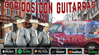 SENTIMIENTO SIERREÑO MIX  MUSICA REGIONAL MEXICANA VIEJITA  EXITOS GUITARRAS [upl. by Aenert130]