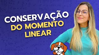 Conservação do Momento Linear  Física 1 para Ensino Superior [upl. by Neetsyrk]