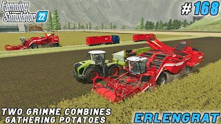 Efficient Potato Harvesting and Premium Seed Sales Strategies  Erlengrat Farm  FS 22  ep 168 [upl. by Malvie787]