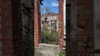 Abandoned house ruins hikinglife [upl. by Wayland641]