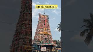 Our first vlog Siruvapuri murugan temple murugan couplesvlog youtubeshorts shorts [upl. by Malan]