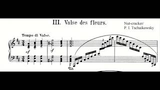 Pyotr Tchaikovsky  Nutcracker Waltz of the Flowers Opus 71 Piano music and score [upl. by Ias]