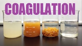 Coagulation of Colloids [upl. by Hayouqes]