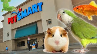 EXPLORING PETSMART  ANIMAL FRIENDS EVERYWHERE [upl. by Inoj]