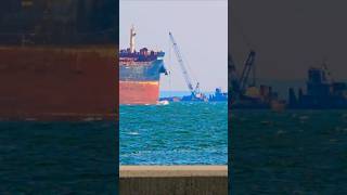 HEADS UP BULK CARRIER PLOWING INTO A HEADWIND🌊🌊 ship wow epic waves containership oiltanker [upl. by Anicul399]