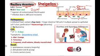 Shigella  Camplyobacter  Cholera [upl. by Clarkson147]