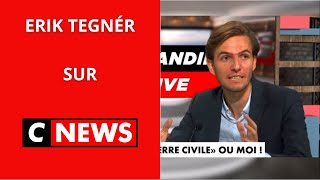 Erik Tegnér  « 60 de l’électorat musulman a voté LFI aux élections européennes  » [upl. by Bodkin480]