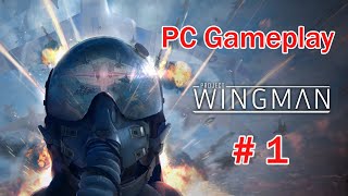 Lets Play Project Wingman Walkthrough Part 1 projectwingman acecombat [upl. by Yhtur]