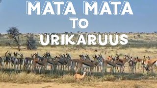 Kgalagadi Transfrontier National Park  Part 5 [upl. by Nayrb48]