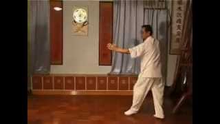 Leung Ting Wing Tsun 1 [upl. by Portingale]