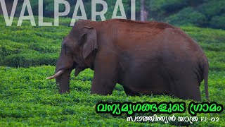 Valparai  South India Ride Ep02 l 4k [upl. by Almena542]