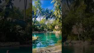 Aryaduta Lippo Village🎈aesthetic pool😍 shorts shortvideo viral [upl. by Nonnahc646]