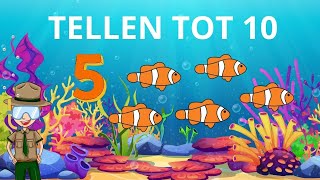 Leren Tellen Nederlands ☆ Van 1 tot 10 Leren Tellen ☆ Cijfers Leren Voor Peuters En Kleuters ☆ [upl. by Agathy]