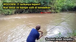 NGERI IKAN INI TENAGANYA GAK ADA HABISNYA NARIK TERUS SAMPAI SENAR MAU HABIS [upl. by Thatch886]