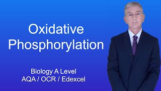 A Level Biology Revision quotOxidative Phosphorylationquot [upl. by Fesoj]