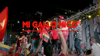 Mi Gallo Nico  Venezuela Vence Siempre [upl. by Mosnar]