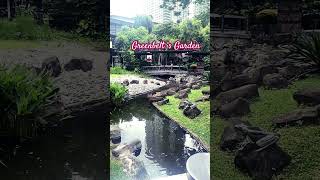 Greenbelt’s Garden  MicMhay Vlog greenbelt garden mall makati shorts koifish koi shorts [upl. by Hanaj287]