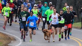 Dog Accidently Joins Half Marathon Finishes Race In 7th Place [upl. by Joette]