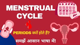 Menstrual Cycle  Explained In Hindi [upl. by Nnaeoj]