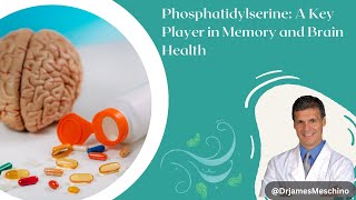 Phosphatidylserine A Key Player in Memory and Brain Health [upl. by Bengt]