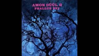 Amon Düül II  Dem Guten Schönen Wahren 1969 [upl. by Nwahsyd423]