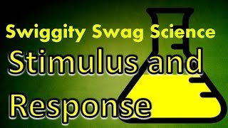 what is stimulus response screencast lecture [upl. by Eerac]